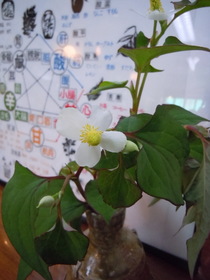 DSCN4146.JPG
